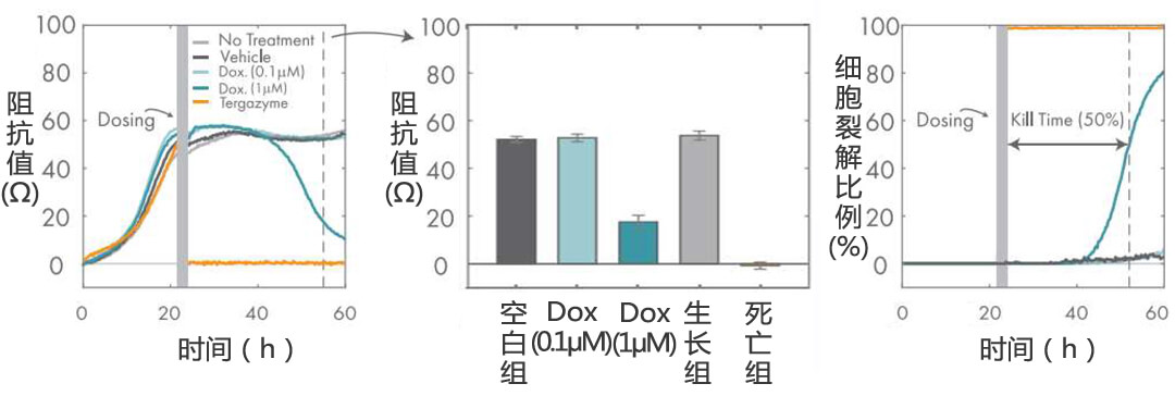 Axion Biosystems MAESTRO Z(sh)r(sh)o(bio)ӛ(x)x