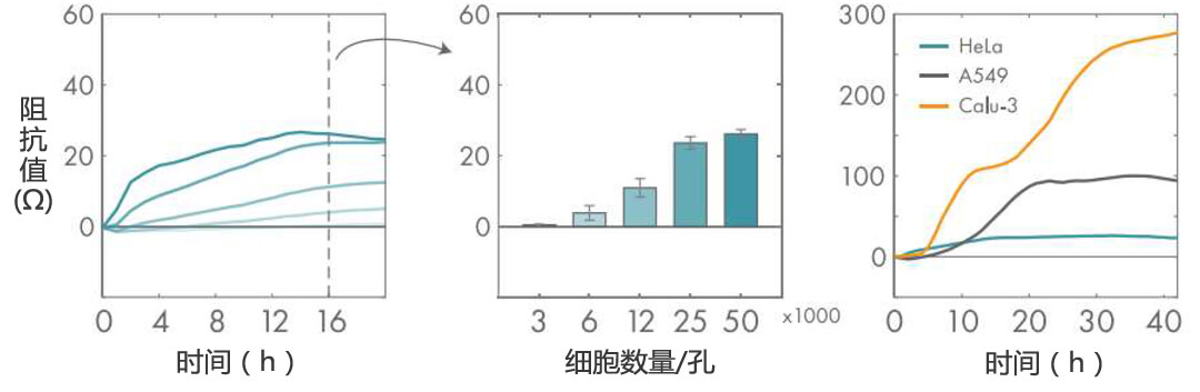 Axion Biosystems MAESTRO Z(sh)r(sh)o(bio)ӛ(x)x