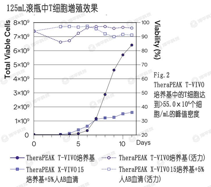 T-VIVOB(yng)ѪX-VIVO 15B(yng)ṩߵļ(x)a(chn)ͻ ƽ